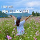 북천마을 | 하동 북천 코스모스축제 일정 주차장 길찾기까지 완벽 정리