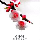 해뜨는 아침