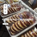 속초 중앙시장 먹거리 주차장 시간 방문후기