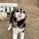 메롱