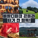 미정목장 | 소노캄 비발디파크 지하세계에는 다 있네요! 비바플렉스몰부터 바뀐 곤돌라 코스까지