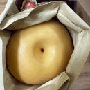 과일백화점 | 현대백화점 산들내음 명품 혼합과일 세트 후기