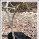 송권농장 이미지