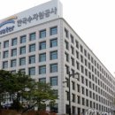 연제구-153 이미지