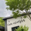 티오피칠공공