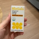 티스바이오 | 신생아 유산균 추천 바이오가이아 프로텍티스 이지드롭 선택 이유와 복용 후기