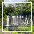 OBIN | 시라이토 폭포, 시즈오카 여행 중 만난 후지산 해빙수