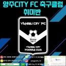 양주씨티에프씨
