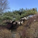 트레커스 | 원주 부론 카페 트레커스빈
