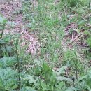 원영농장 이미지