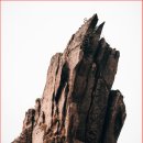 서래포구마을 | 싱싱함이 살아있는 서래포구 해산물 맛집