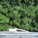 장림동원(3차)아파트 이미지