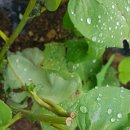 하늘닿은농장 이미지