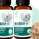 슈퍼온다르크 이미지