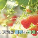 장어농장 네이버블로그