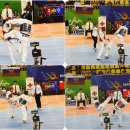 충주태권도 이미지