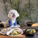 황전휴게소 하행 | 팡팡 일상 (2026.3.28~4.3)