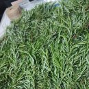 로즈마리 스머지스틱 만들기 이미지