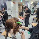 헤어실무 이미지