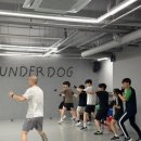 언더독 복싱 이미지