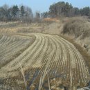 동막동(1) 이미지