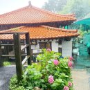 [2025년 상반기]수채화 이미지