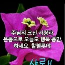 샬롬 Daum카페