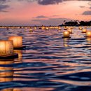 비치파크 이미지