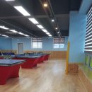 김쌤탁구교실