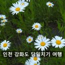 금촌게임장 | 서울근교 인천 강화도 당일치기여행 주말 가족 나들이 데이트 코스 추천 가볼만한곳