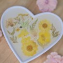 정상 네이처빌 | 🌼부산원데이클래스 출강전문 편한 홈공방 운영 | 골드스푼오브제 하트트레이💛