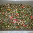 순이김치 이미지