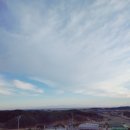 꿀벌의 양양여행 - 센텀마크호텔, bts버스정류장 그리고 우연히발견한 일식맛집 송스시 양양 -