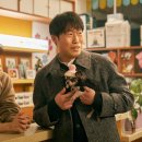 도그데이즈 이미지