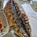 표선중앙로 | 제주 표선 갈치조림 맛집 현지인맛집 가성비맛집 표선갈치조림 내돈내산 후기