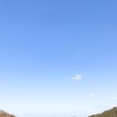 오시유 이미지