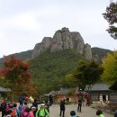 청송 - 부천시 소사구 경인로53번길 8 | 청송