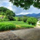 산내면 상황마을 이미지