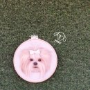 반려동물 양모 초상화 만들기 이미지