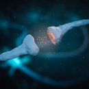 탑메디슨코리아 이미지