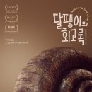 달팽이a 이미지