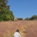 씨앗등펜션 이미지