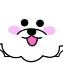 스프링댕댕 네이버블로그