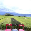 재영민박 이미지