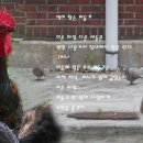 새아침약국 이미지