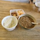 오씨주택 | [제주여행] 고양이강아지천국 오씨주택 3박4일