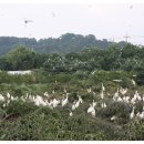 (주)효자건설 이미지