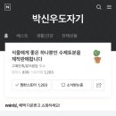 박신우도자기 이미지