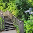 초안산 세대공감공원 | [서울 노원구]초안산 산행하고 수국동산에서 꽃구경하다!!