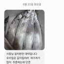 은갈치